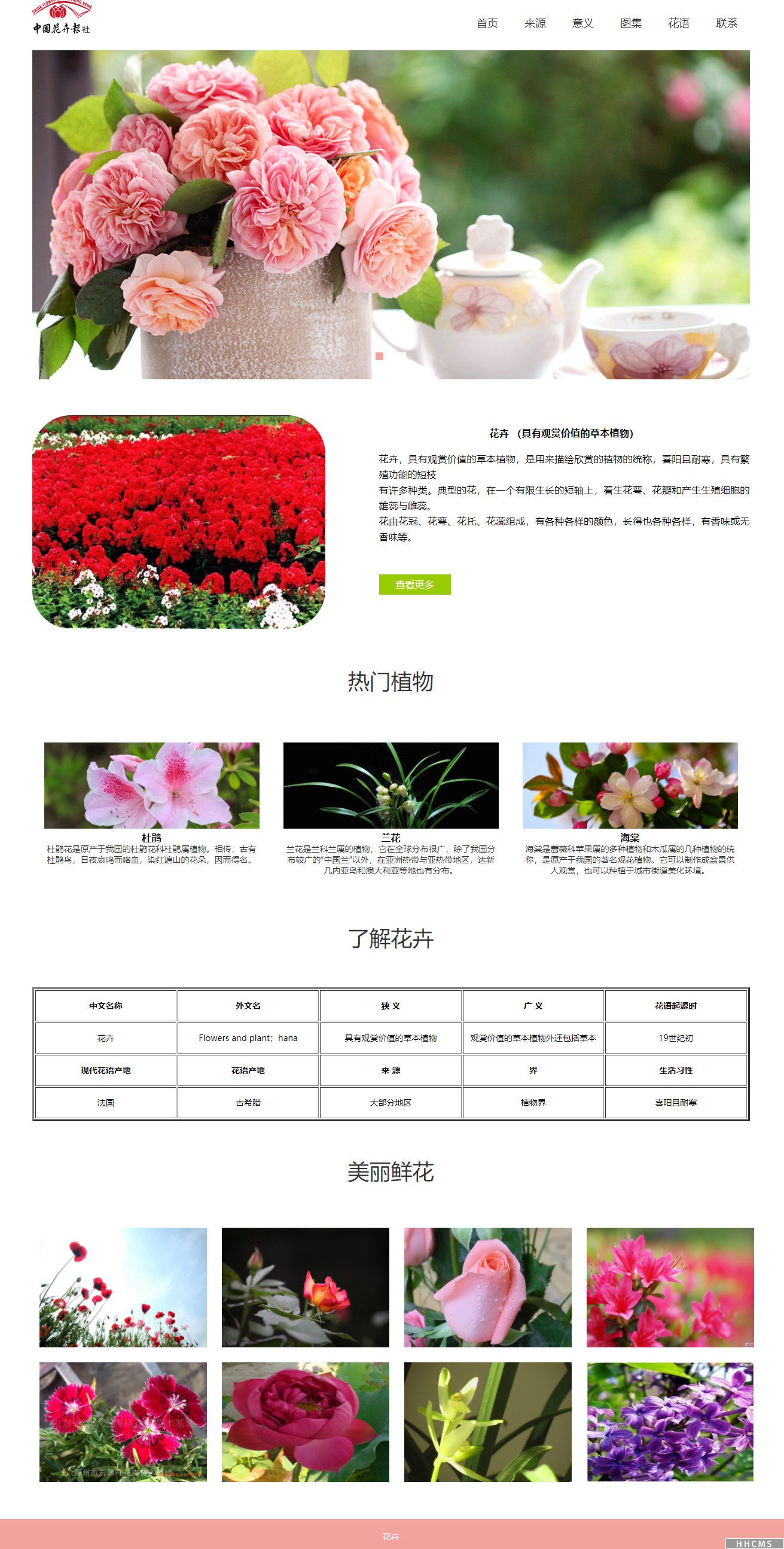 中国花卉js轮播