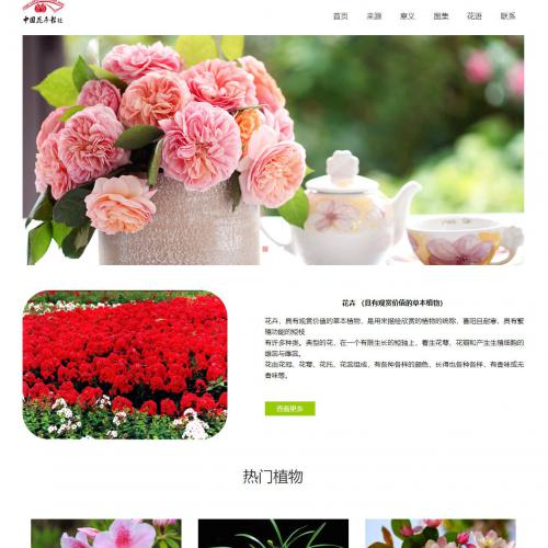 中国花卉js轮播